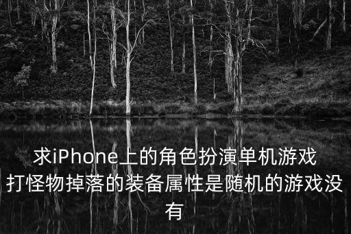 求iPhone上的角色扮演单机游戏打怪物掉落的装备属性是随机的游戏没有