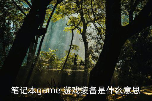 笔记本game 游戏装备是什么意思