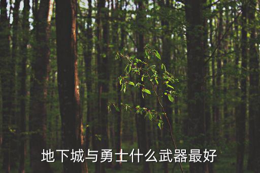 地下城与勇士什么武器最好
