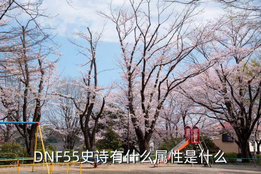 DNF55史诗有什么属性是什么