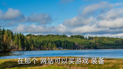 在那个 网站可以买游戏 装备