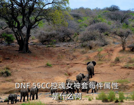 DNF 55CC控魂女神套每件属性是什么阿