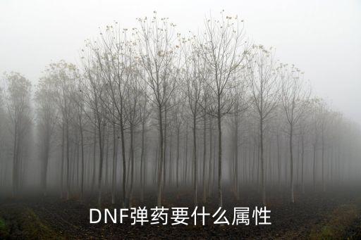 DNF弹药要什么属性