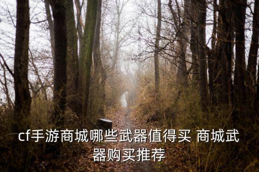 cf手游商城哪些武器值得买 商城武器购买推荐