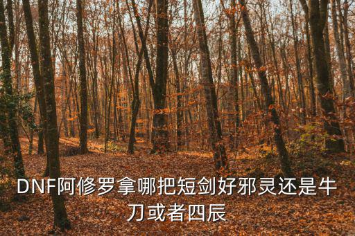 DNF阿修罗拿哪把短剑好邪灵还是牛刀或者四辰