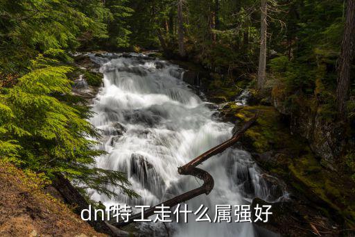 dnf 特工什么属性，dnf特工走什么属强好