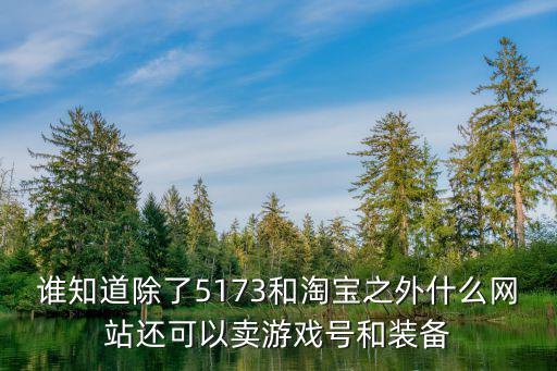 谁知道除了5173和淘宝之外什么网站还可以卖游戏号和装备