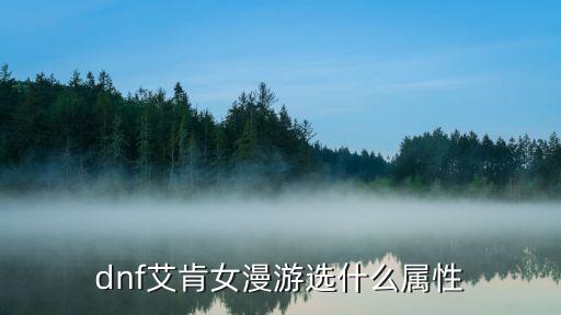 dnf艾肯女漫游选什么属性