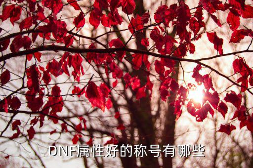 dnf称号属性选什么，dnf称号哪个属性最好