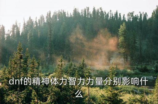 dnf的精神体力智力力量分别影响什么