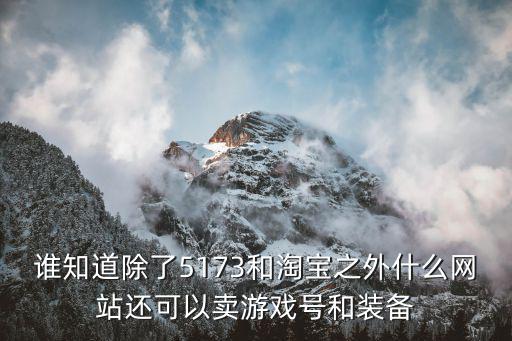 哪个软件可以卖游戏装备，谁知道除了5173和淘宝之外什么网站还可以卖游戏号和装备