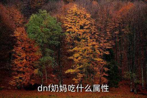 dnf奶妈吃什么属性