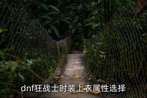 dnf红眼衣服什么属性，dnf狂战士时装上衣属性选择