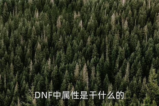 DNF中属性是干什么的