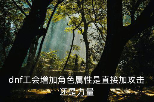 dnf公会属性加什么，DNF工会属性问题