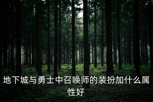 dnf装扮加什么属性，DNF时装的皮肤加什么属性