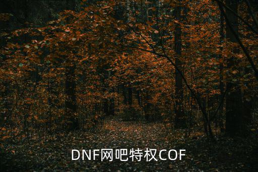 DNF网吧特权COF