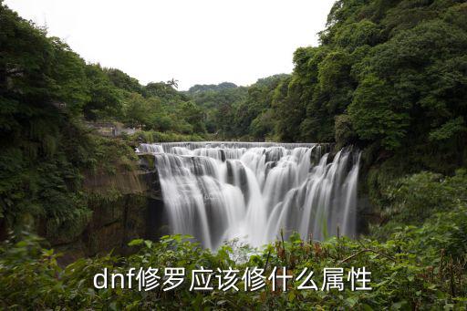 dnf 修罗用什么属性，dnf修罗应该修什么属性