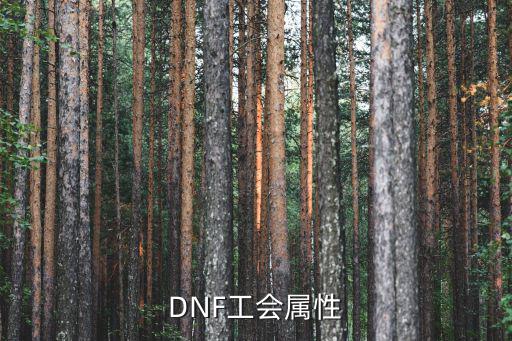 dnf公会勋章什么属性，DNF工会属性