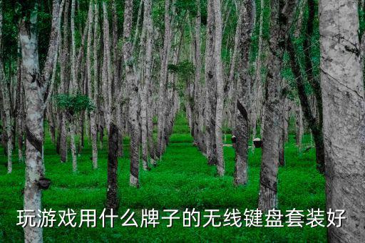游戏装备买哪个牌子好用，游乐装备那个牌子比较好