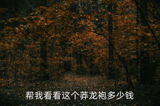 帮我看看这个莽龙袍多少钱