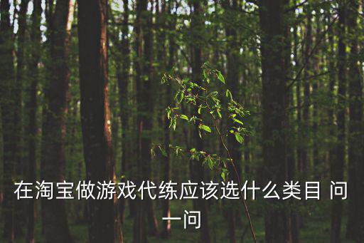 在淘宝做游戏代练应该选什么类目 问一问