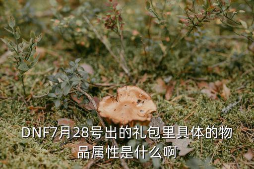 DNF7月28号出的礼包里具体的物品属性是什么啊