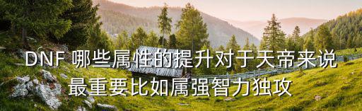 DNF 哪些属性的提升对于天帝来说最重要比如属强智力独攻