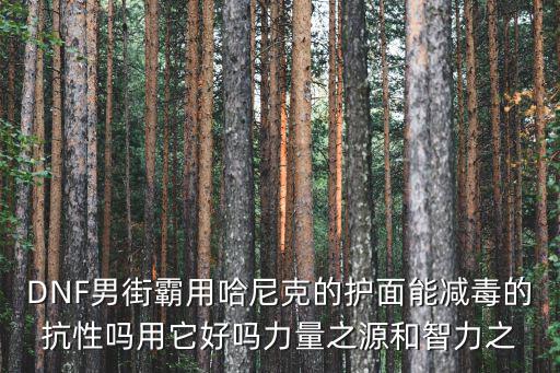 DNF男街霸用哈尼克的护面能减毒的抗性吗用它好吗力量之源和智力之