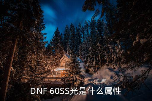 DNF 60SS光是什么属性