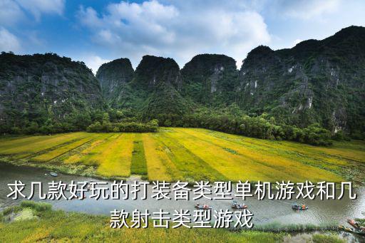 求几款好玩的打装备类型单机游戏和几款射击类型游戏