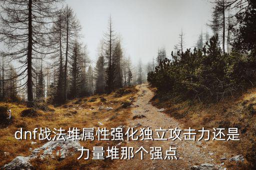 dnf战法堆属性强化独立攻击力还是力量堆那个强点