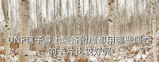 DNF瞎子身上装备附魔都用哪些属性的卡片比较好呢