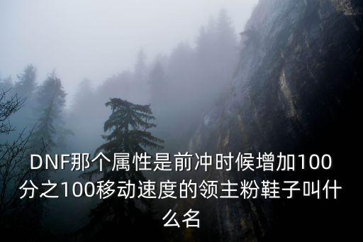 dnf章鱼鞋子什么属性，DNF那个属性是前冲时候增加100分之100移动速度的领主粉鞋子叫什么名