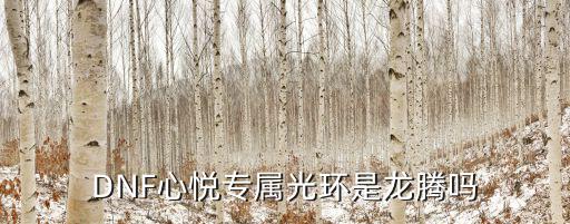 dnf回归光环什么属性，DNF心悦专属光环是龙腾吗