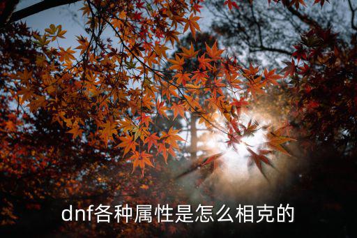 dnf各种属性是怎么相克的