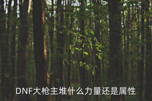 dnf大枪选什么属性，DNF第三季男大枪时装应该选什么属性啊纯刷图不PK的 不要瞎说