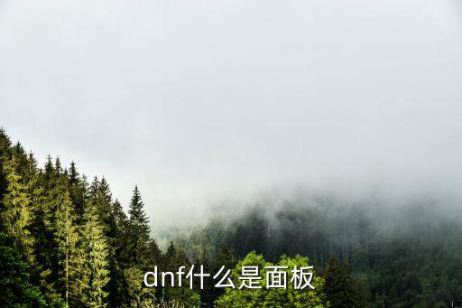 dnf什么是面板