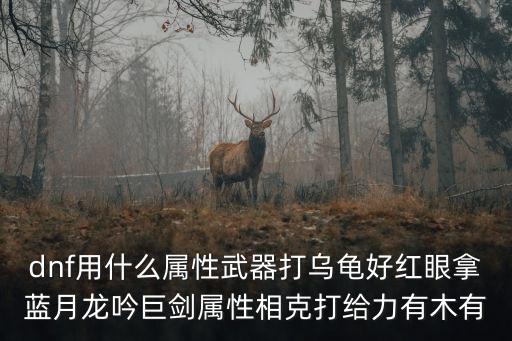 dnf用什么属性武器打乌龟好红眼拿蓝月龙吟巨剑属性相克打给力有木有