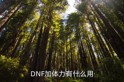 dnf体力影响什么属性，DNF里体力和精神是加什么属性的