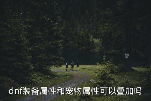 dnf装备属性和宠物属性可以叠加吗