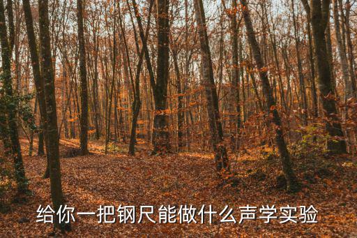 给你一把钢尺能做什么声学实验