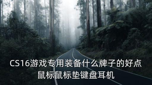 CS16游戏专用装备什么牌子的好点鼠标鼠标垫键盘耳机