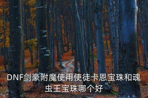 DNF剑豪附魔使用使徒卡恩宝珠和魂虫王宝珠哪个好