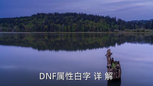 dnf白字叫什么属性，DNF属性白字 详 解