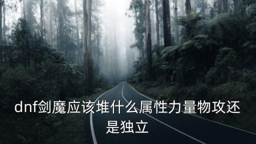 dnf剑魔应该堆什么属性力量物攻还是独立
