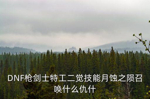 DNF枪剑士特工二觉技能月蚀之陨召唤什么仇什