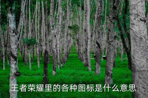 王者荣耀里的各种图标是什么意思