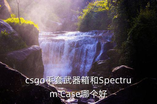 csgo手套武器箱和Spectrum Case哪个好