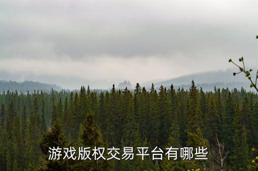 什么应用能买游戏装备版权，游戏版权交易平台有哪些